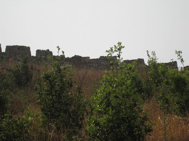 С Ƭ 144.jpg
