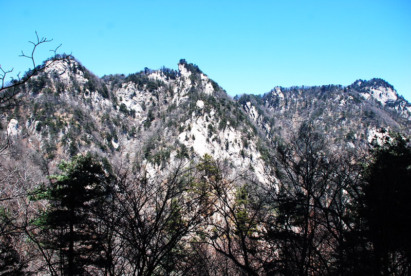 dsc_0430.jpg