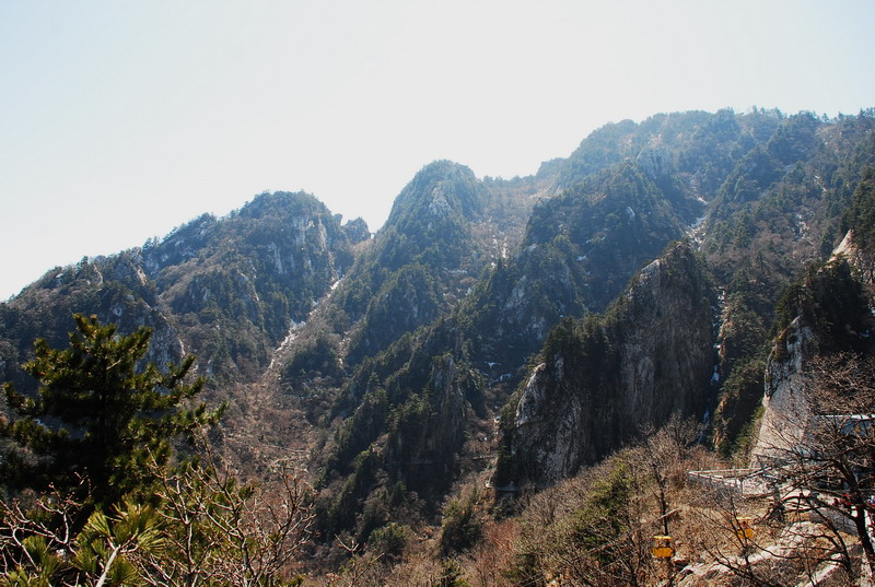 dsc_0450.jpg