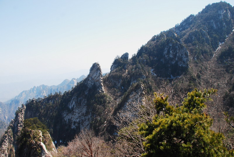 dsc_0454.jpg