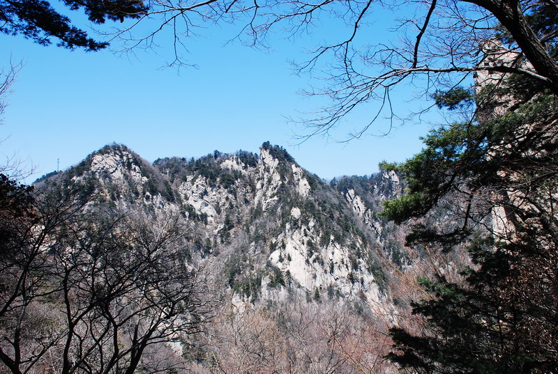 dsc_0469.jpg