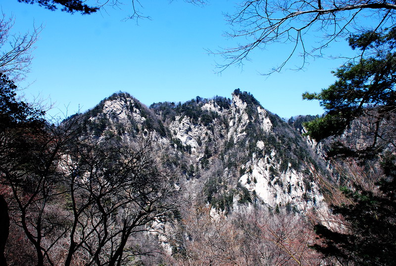 dsc_0470.jpg