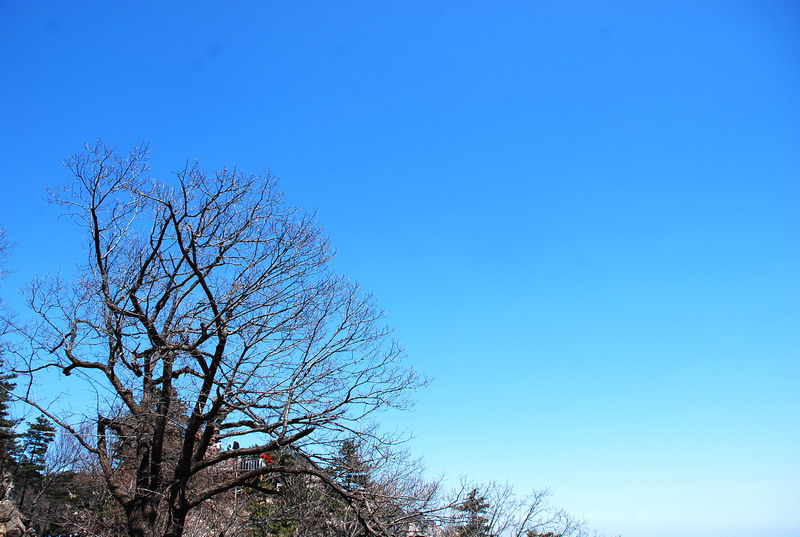 dsc_0474.jpg