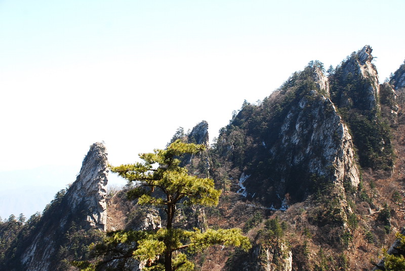 dsc_0481.jpg
