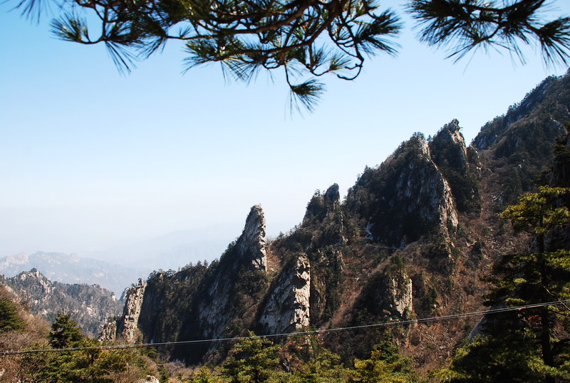 dsc_0480.jpg