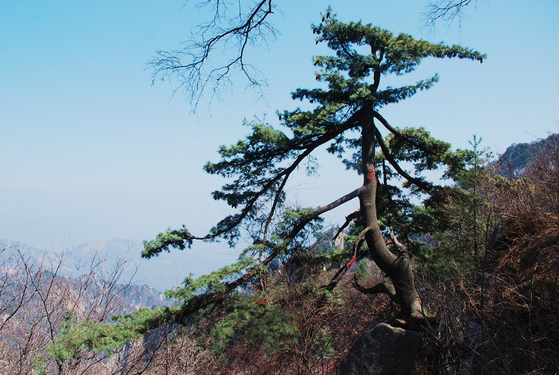 dsc_0487.jpg