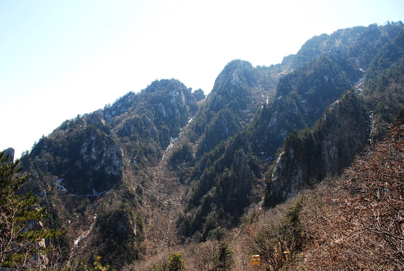 dsc_0435.jpg