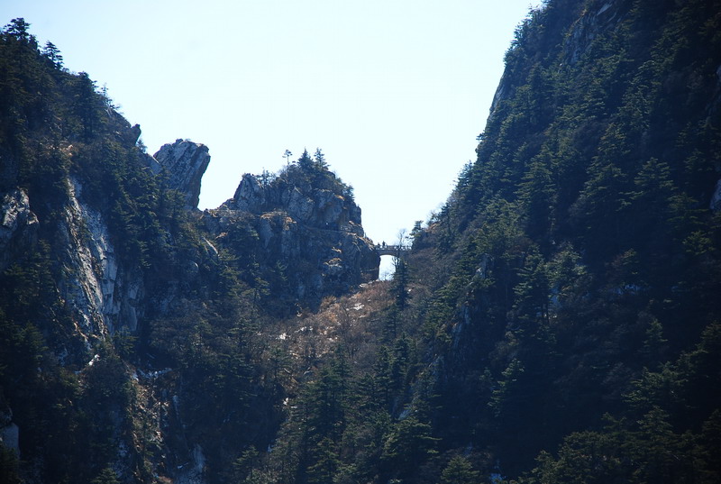 dsc_0437.jpg