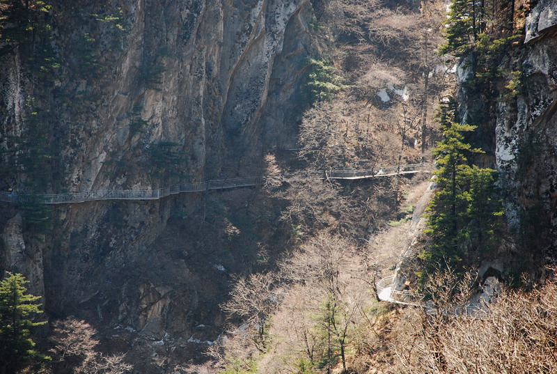 dsc_0438.jpg