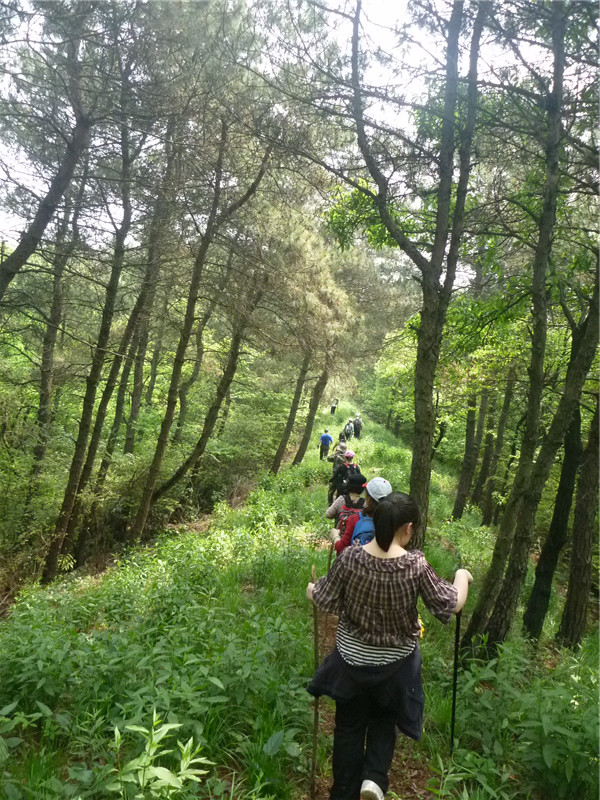 p1050648_.jpg