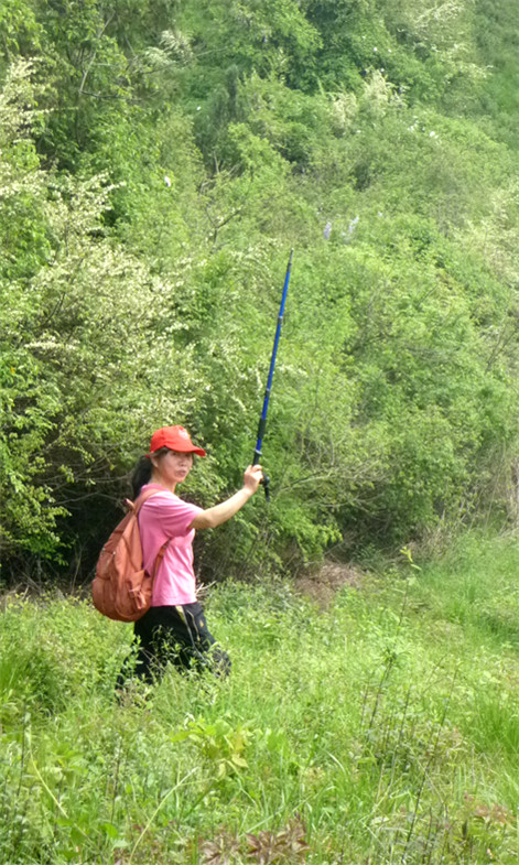 p1050659_.jpg