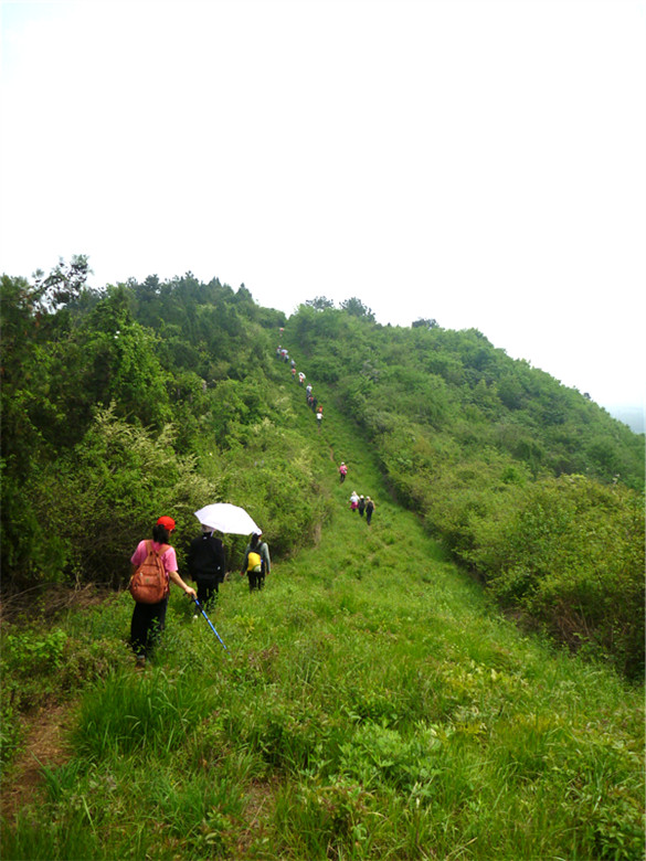 p1050658_.jpg