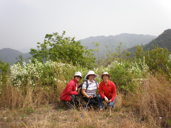 20110417_103106_20.jpg