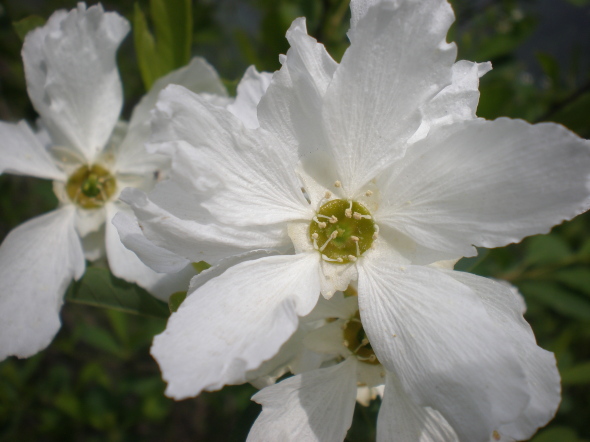20110417_103853_28.jpg