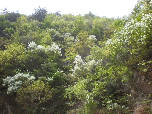 20110417_104124_32.jpg