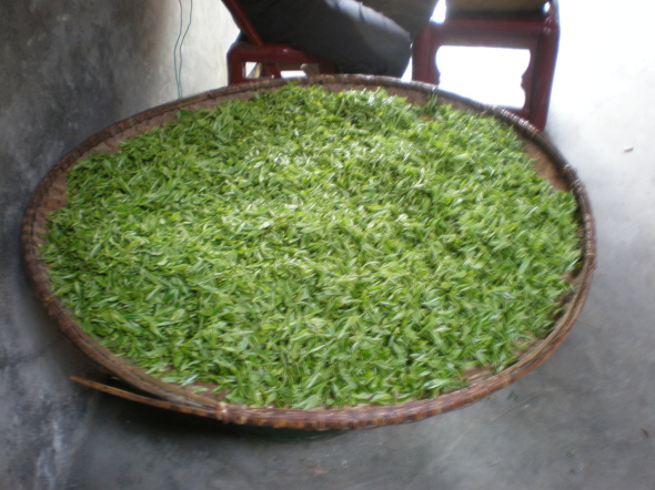 20110417_113017_40.jpg