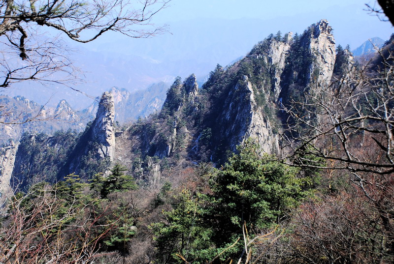dsc_0488.jpg