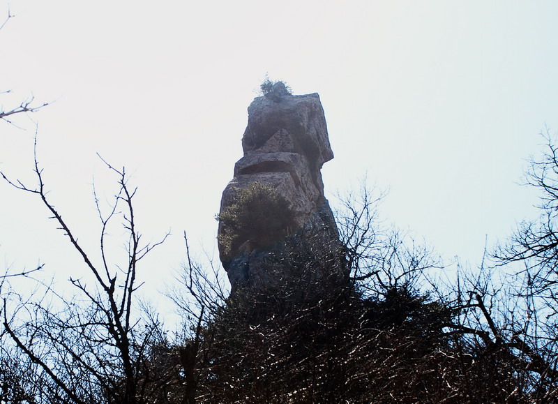 dsc_0495.jpg