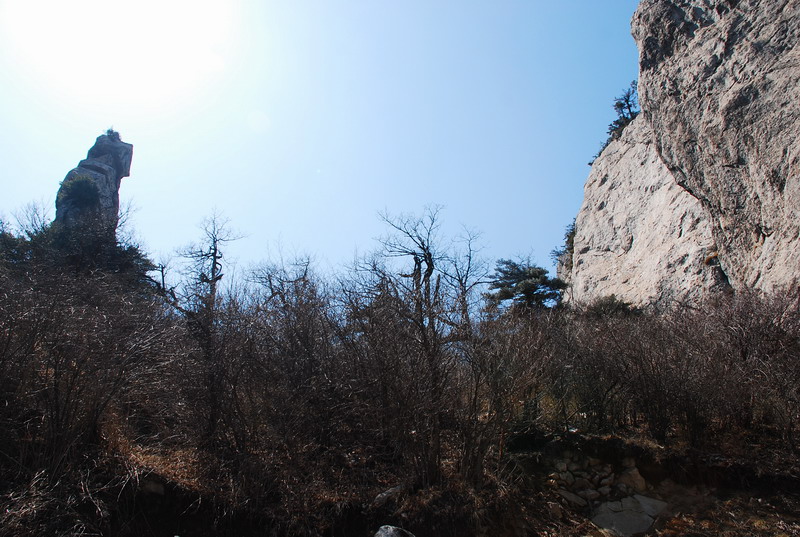 dsc_0496.jpg