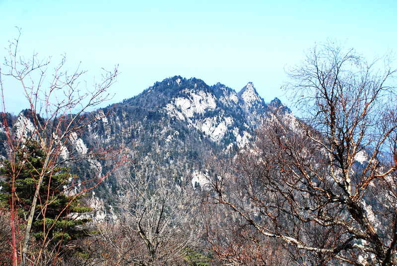 dsc_0498.jpg