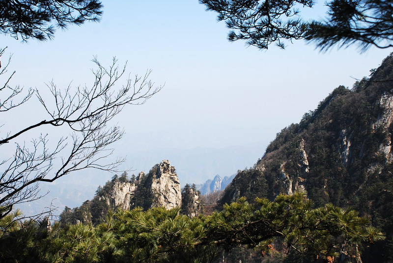 dsc_0501.jpg