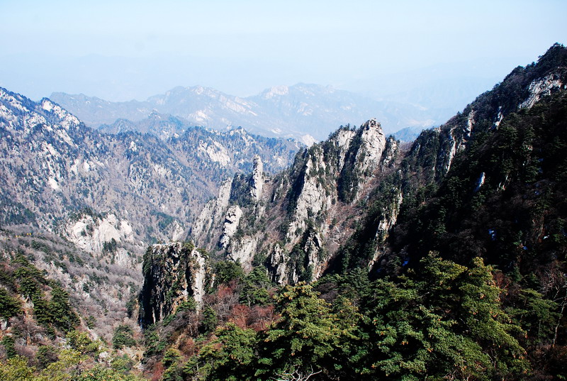 dsc_0524.jpg