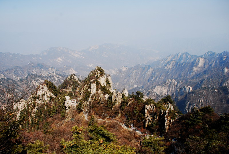 dsc_0565.jpg