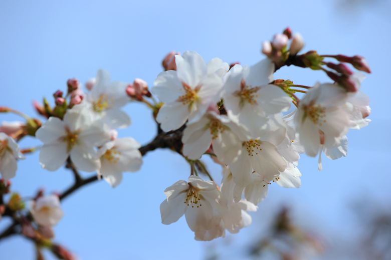 dsc_5612a.jpg