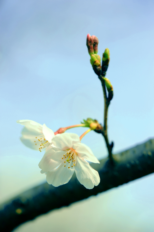 dsc_5623a.jpg
