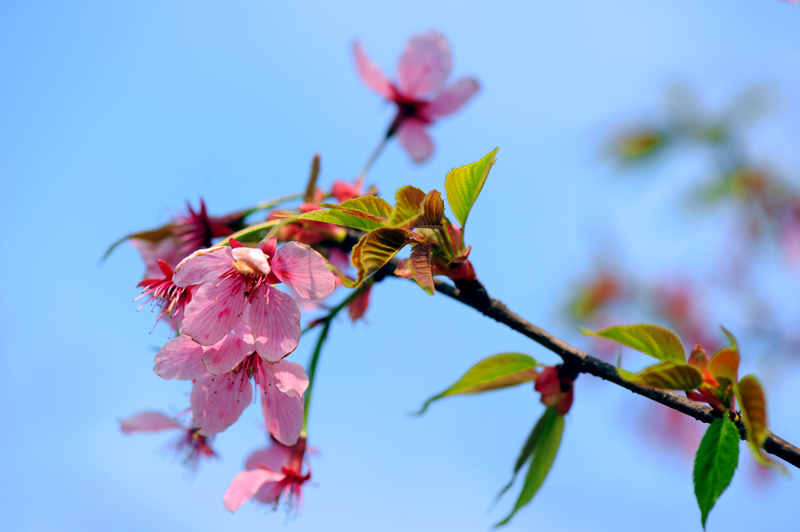 dsc_5630a.jpg