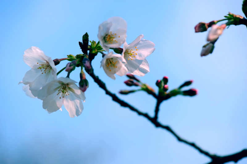 dsc_5640a.jpg