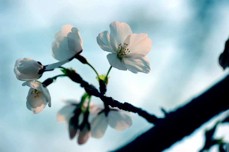 dsc_5641a.jpg