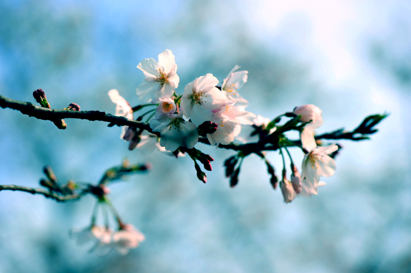 dsc_5642a.jpg