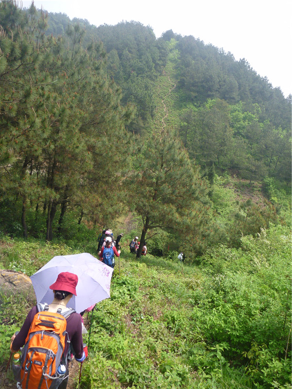 p1050652_.jpg