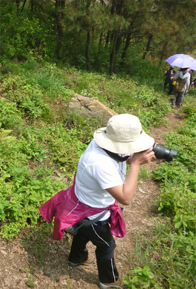 p1050653_.jpg