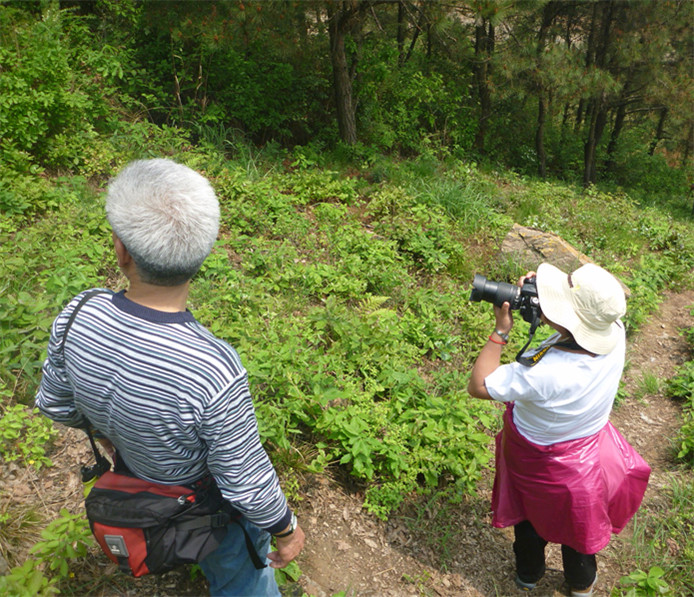 p1050654_.jpg