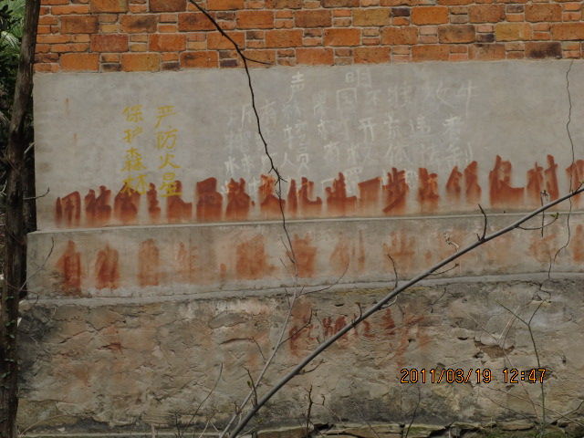 73.jpg