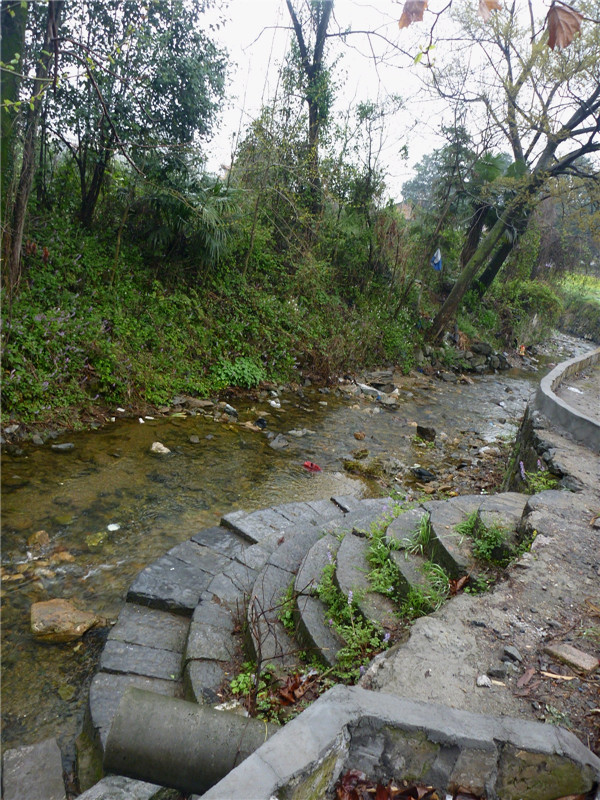 p1050185_.jpg