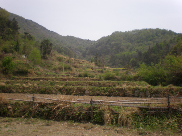 20110417_132514_66.jpg