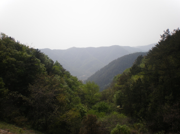 20110417_144242_89.jpg