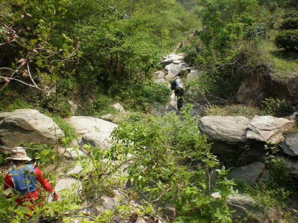 20110417_150521_104.jpg