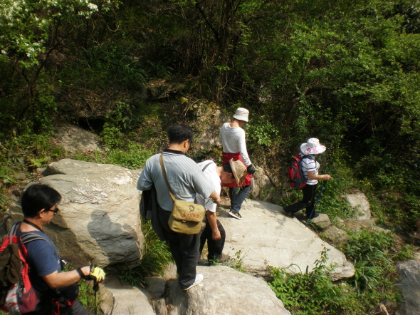 20110417_150551_107.jpg