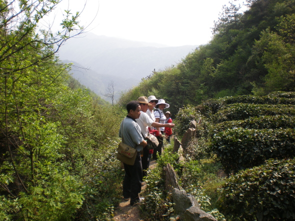 20110417_150702_111.jpg
