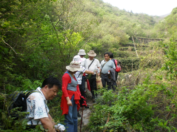 20110417_150847_113.jpg