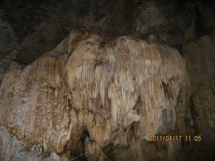 img_0785.jpg