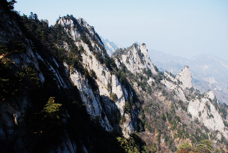 dsc_0608.jpg