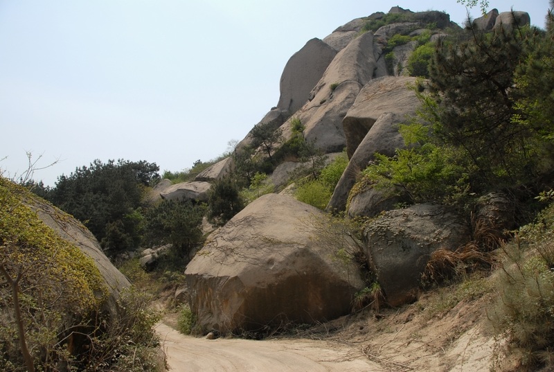 dsc_0102.jpg