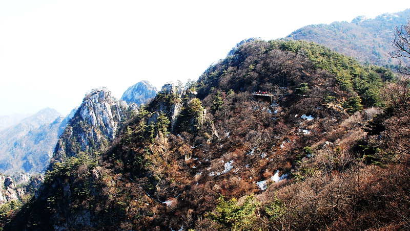 dsc_0644.jpg