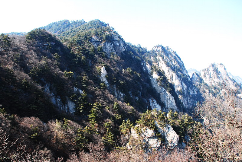 dsc_0648.jpg