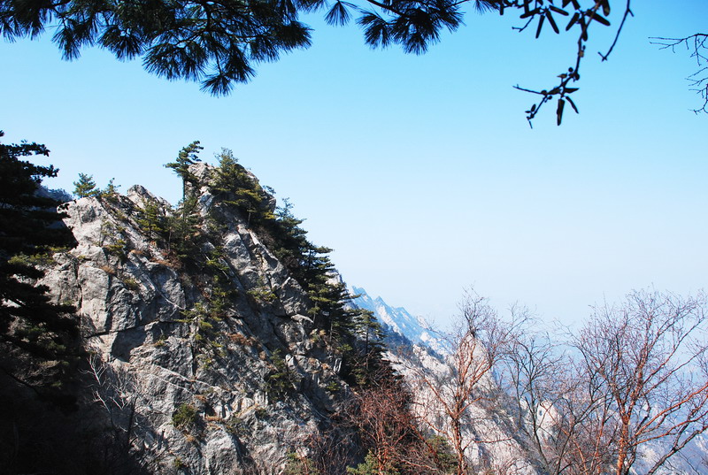 dsc_0649.jpg